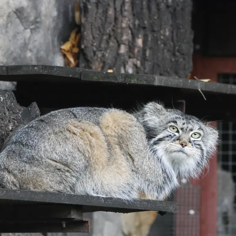 A photograph of Timofey in Moscow zoo