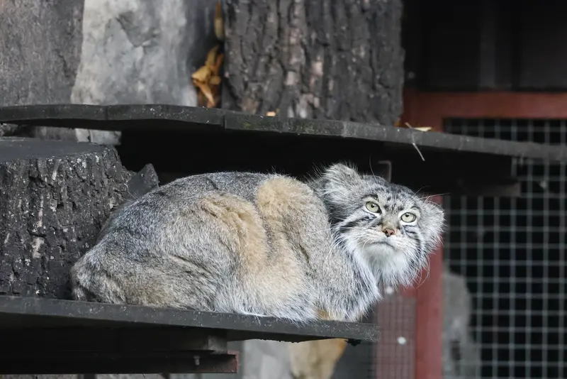 A photograph of Timofey in Moscow zoo