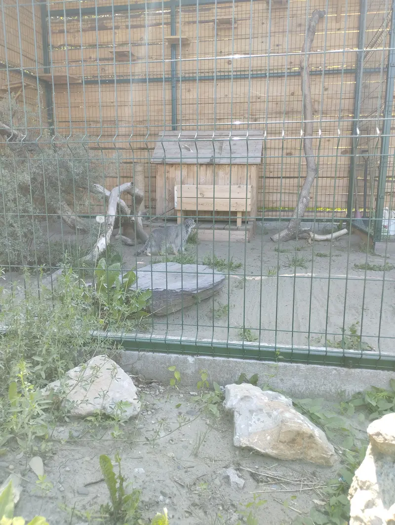 A photograph of Pepe in Barnaul zoo “Lesnaya skazka”