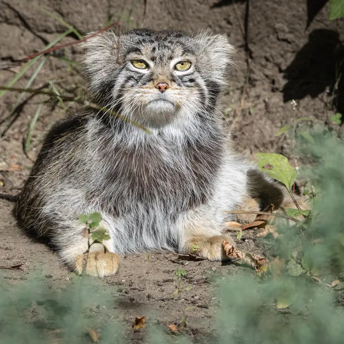 A photograph of Timofey in Moscow zoo