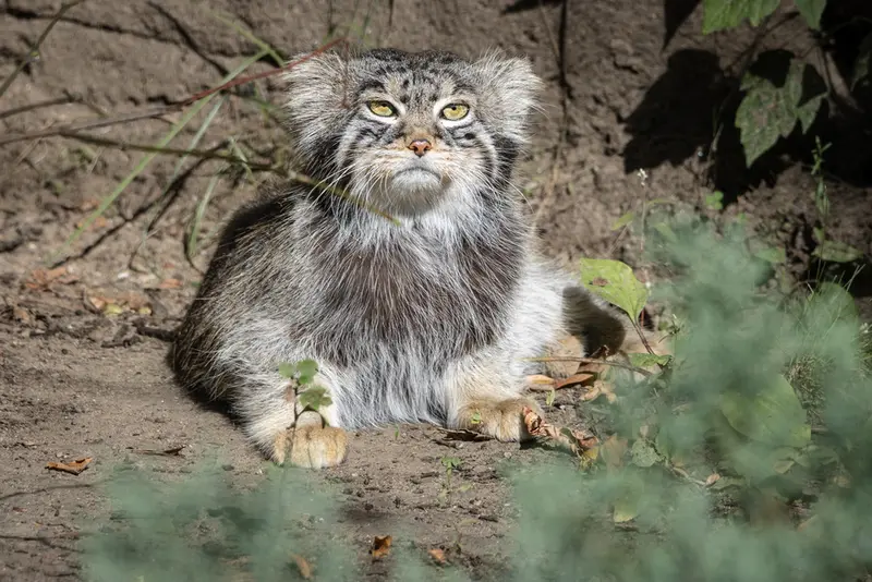 A photograph of Timofey in Moscow zoo
