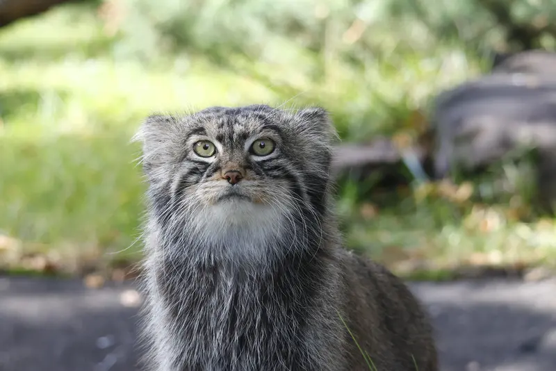 A photograph of Timofey in Moscow zoo