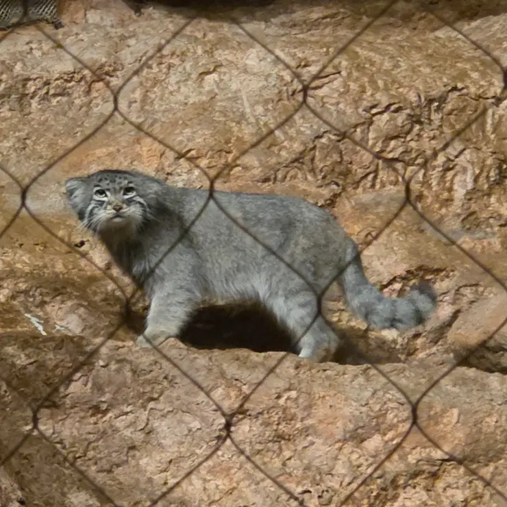 A photograph of Johan in Brookfield Zoo Chicago