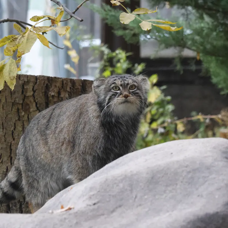 A photograph of Timofey in Moscow zoo