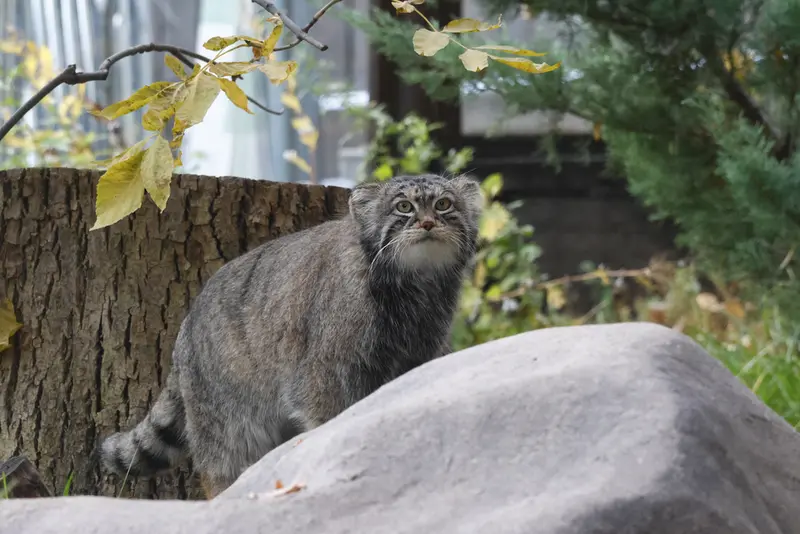 A photograph of Timofey in Moscow zoo