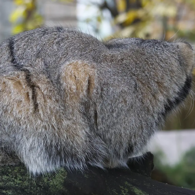 A photograph of Timofey in Moscow zoo