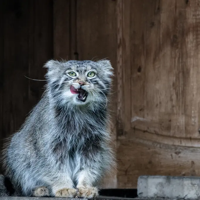 A photograph of Timofey in Moscow zoo