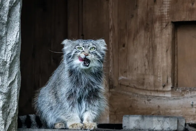 A photograph of Timofey in Moscow zoo