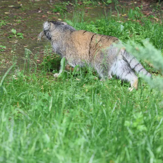 A photograph of Timofey in Moscow zoo