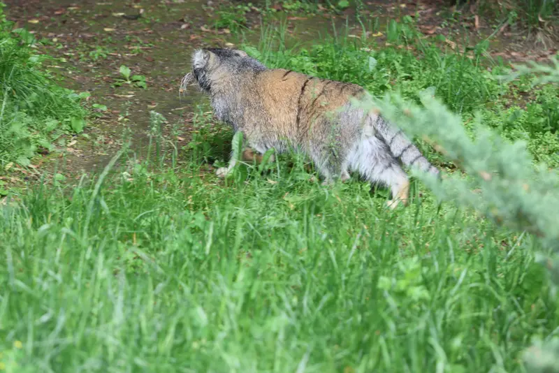 A photograph of Timofey in Moscow zoo