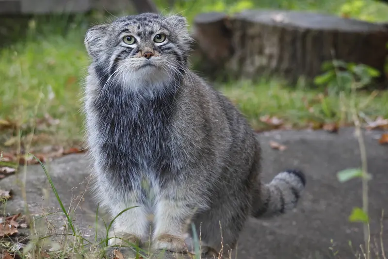 A photograph of Timofey in Moscow zoo
