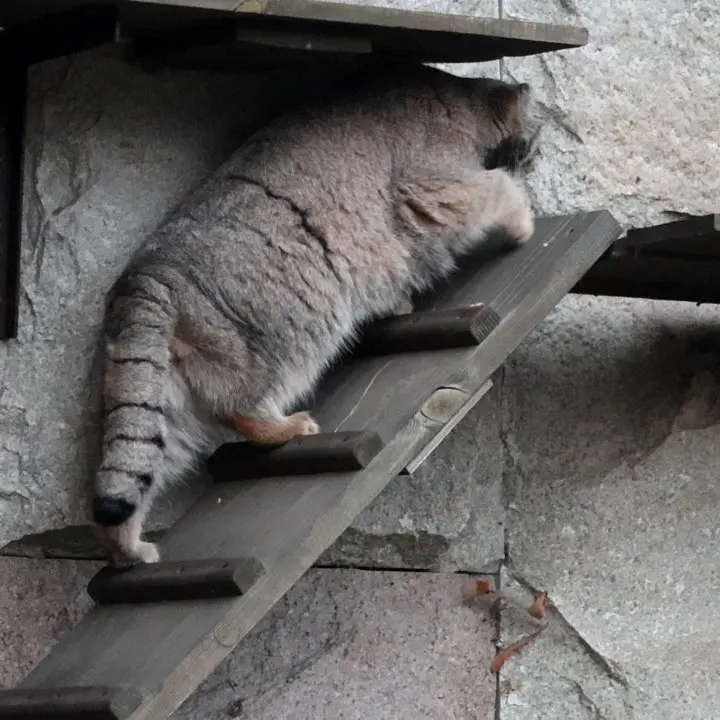 A photograph of Timofey in Moscow zoo