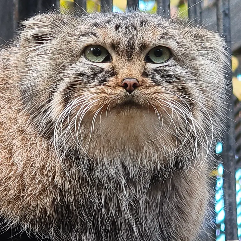 A photograph of Gabi in Novosibirsk Zoo