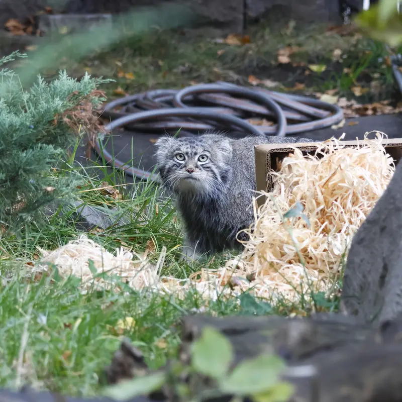 A photograph of Timofey in Moscow zoo