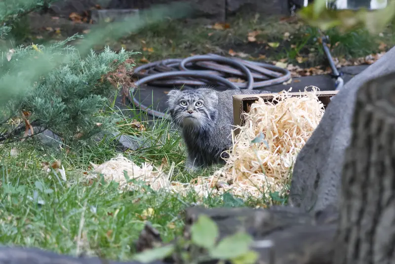 A photograph of Timofey in Moscow zoo