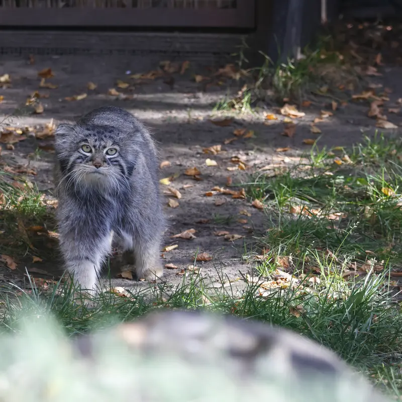 A photograph of Timofey in Moscow zoo