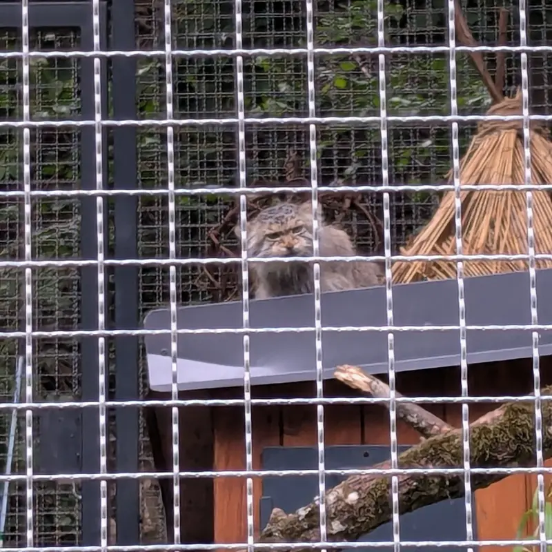A photograph of Melissa in Lithuanian Zoo
