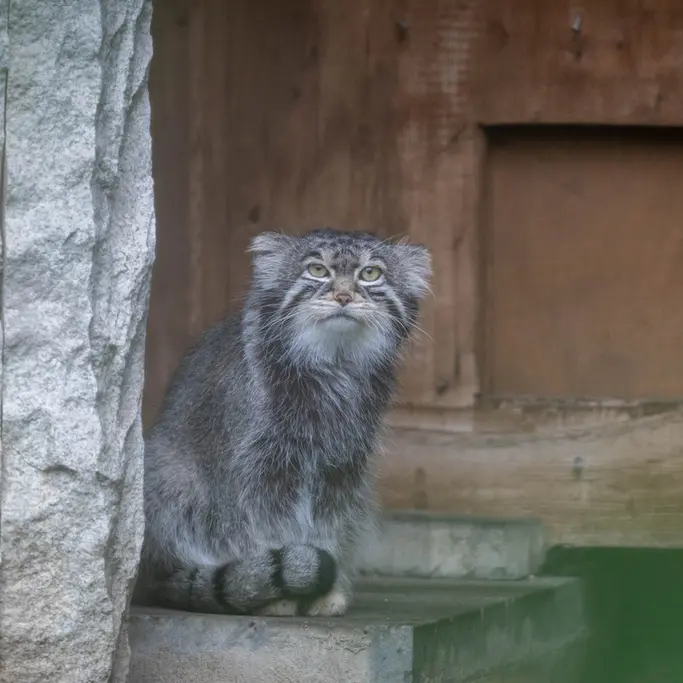 A photograph of Timofey in Moscow zoo