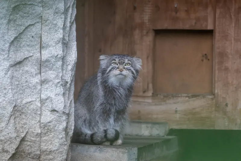 A photograph of Timofey in Moscow zoo