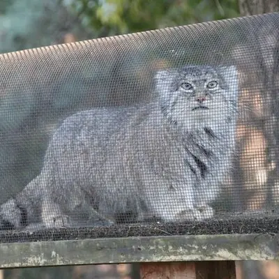 A photograph of Marie in Saitama Children's Zoo