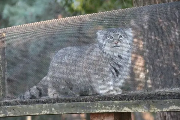 A photograph of Marie in Saitama Children's Zoo