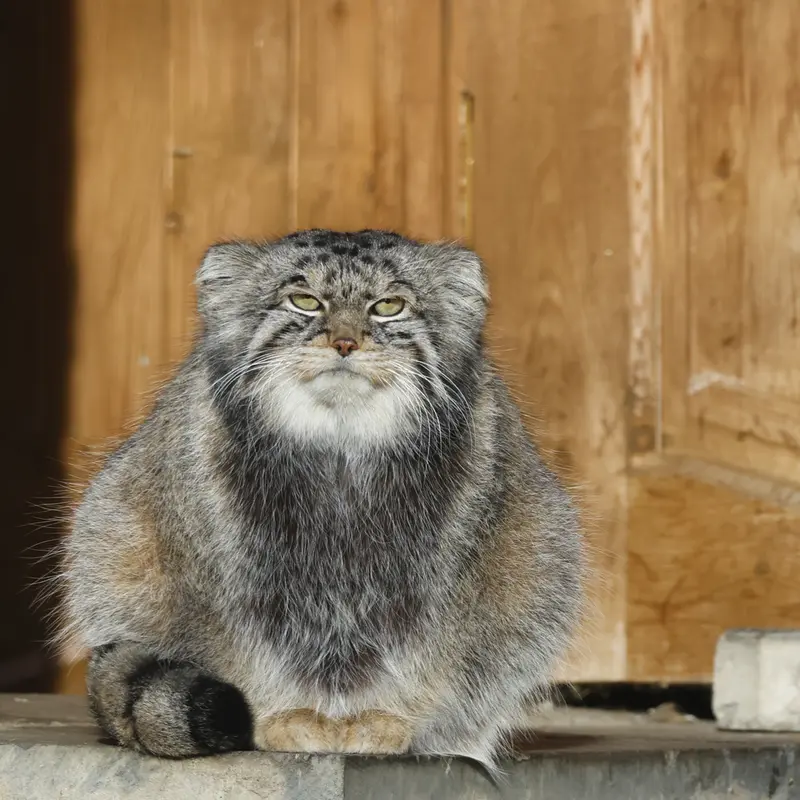 A photograph of Timofey in Moscow zoo