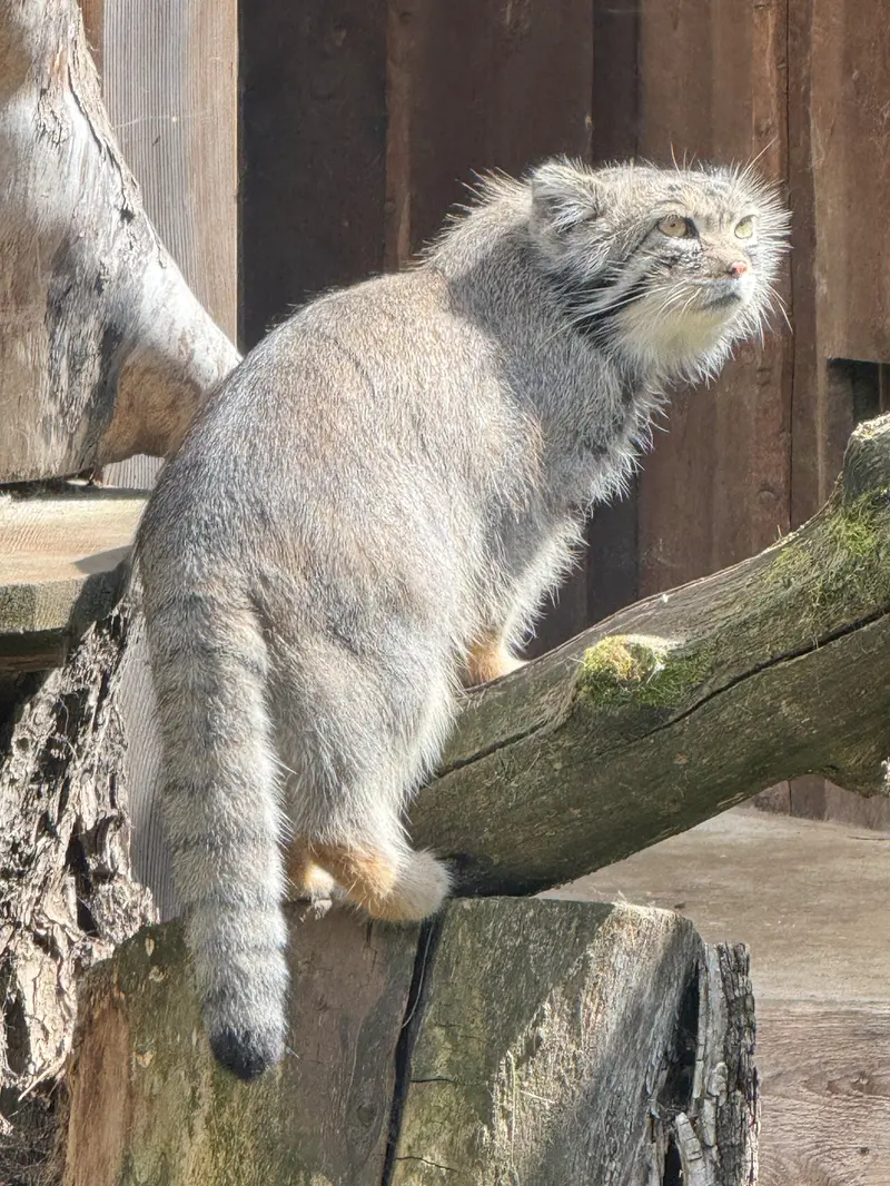 A photograph of Mars in Tallinn Zoo