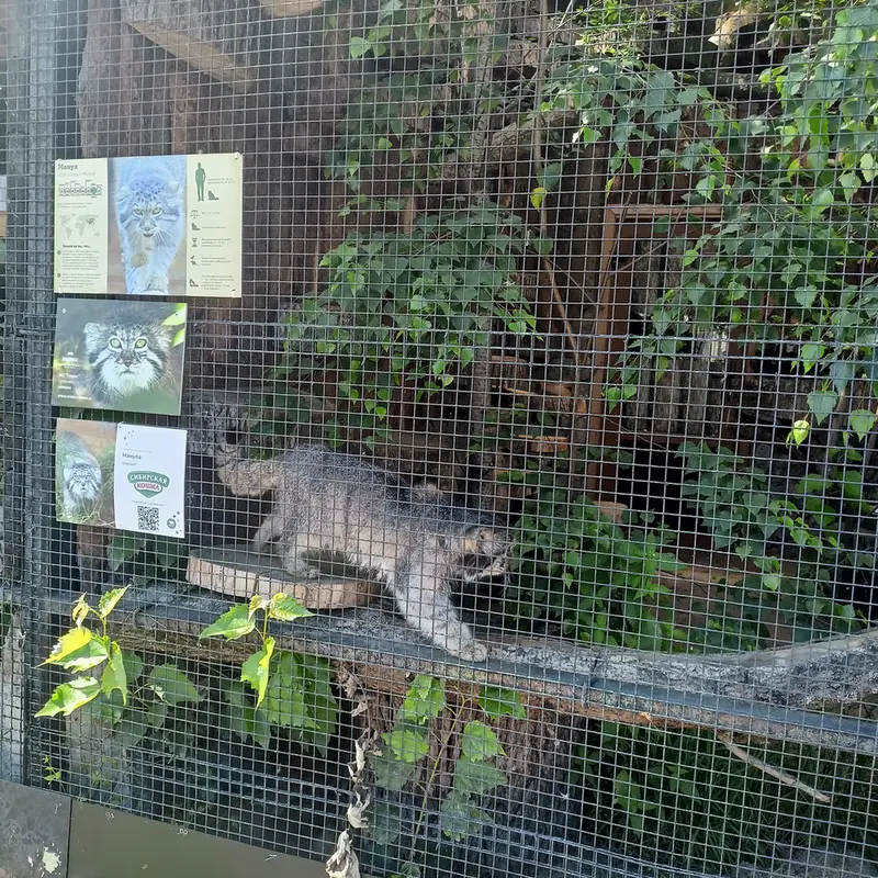A photograph of Sven in Leningrad zoo