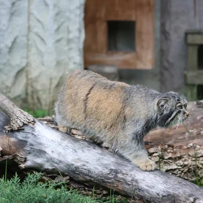 A photograph of Timofey in Moscow zoo
