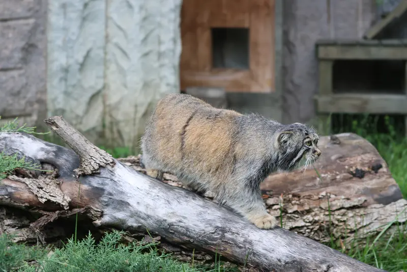 A photograph of Timofey in Moscow zoo