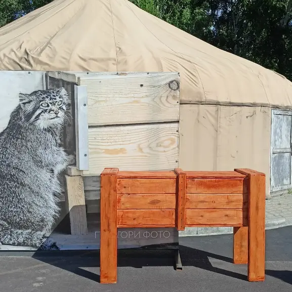 A photograph of Chip in Barnaul zoo “Lesnaya skazka”