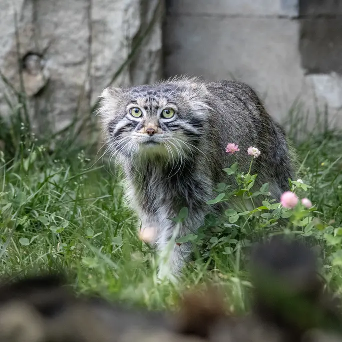 A photograph of Timofey in Moscow zoo