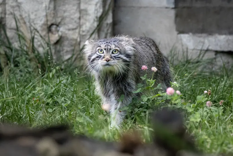 A photograph of Timofey in Moscow zoo