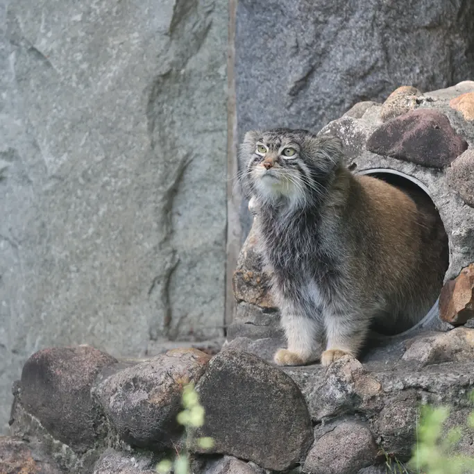 A photograph of Timofey in Moscow zoo