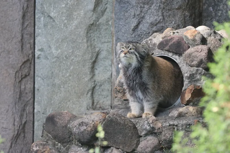 A photograph of Timofey in Moscow zoo