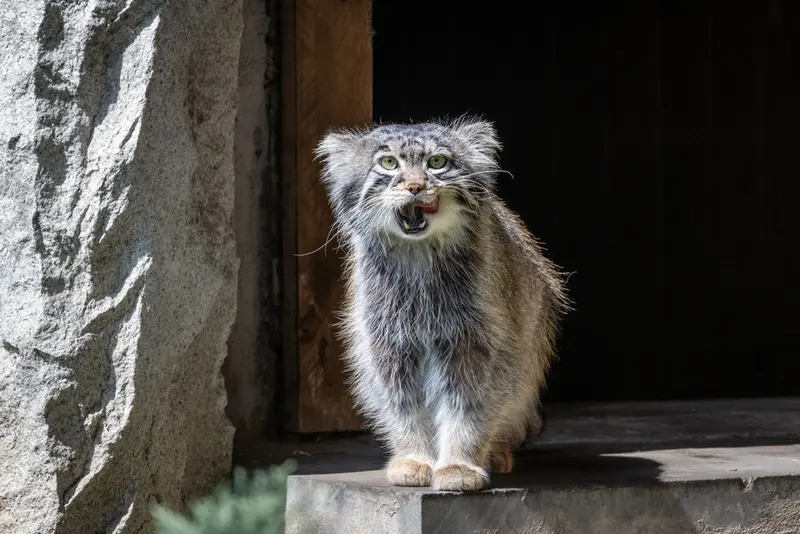 A photograph of Timofey in Moscow zoo