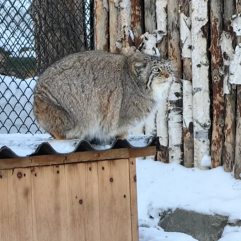 A photograph of Eve in Novosibirsk Zoo
