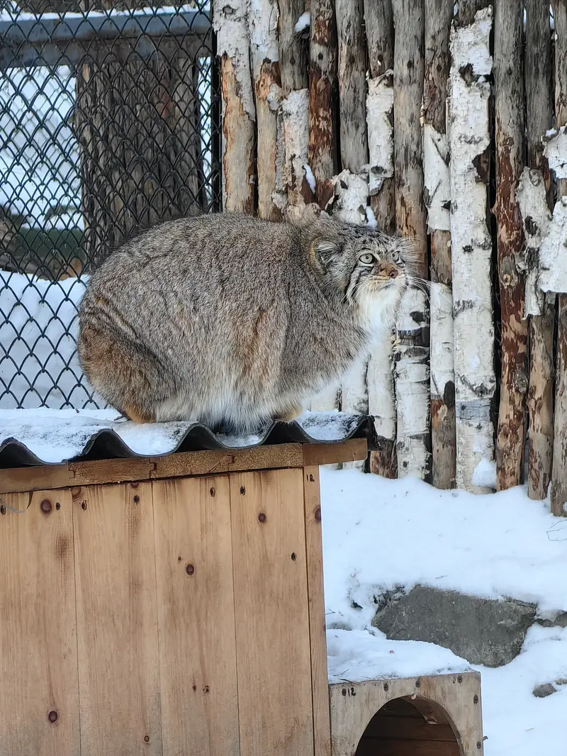 A photograph of Eve in Novosibirsk Zoo