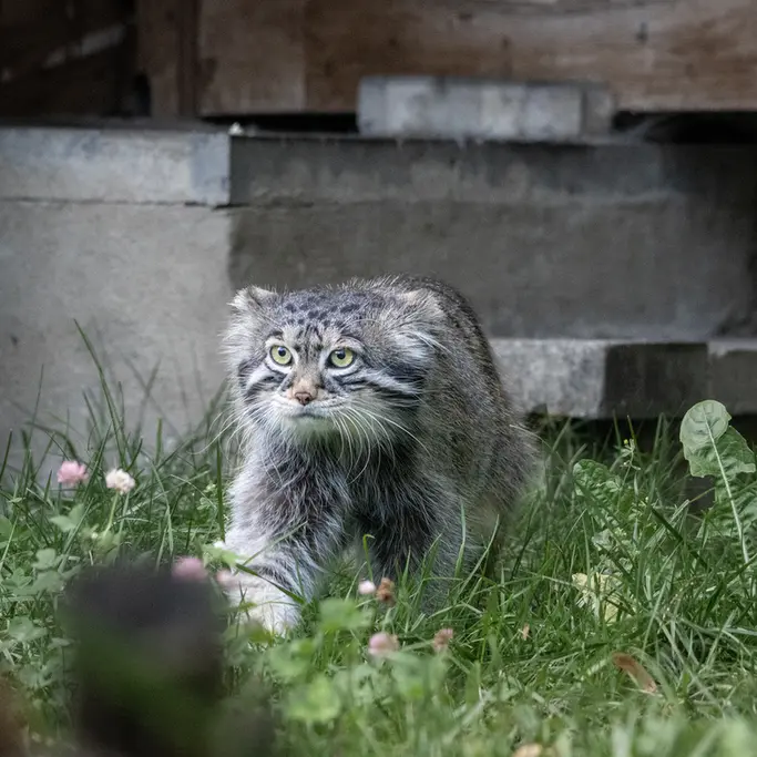 A photograph of Timofey in Moscow zoo