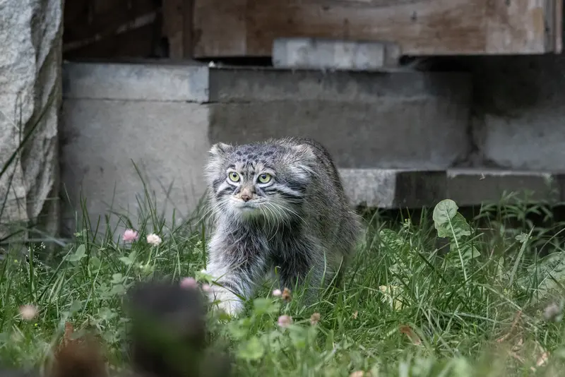 A photograph of Timofey in Moscow zoo