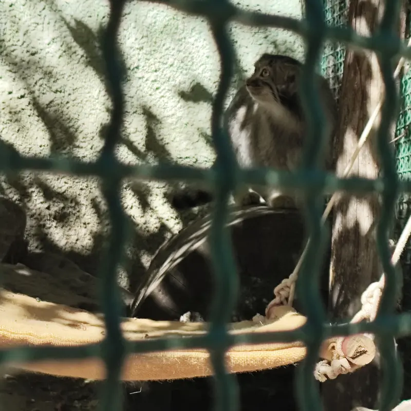A photograph of Lucy in Budapest Zoo & Botanical Garden