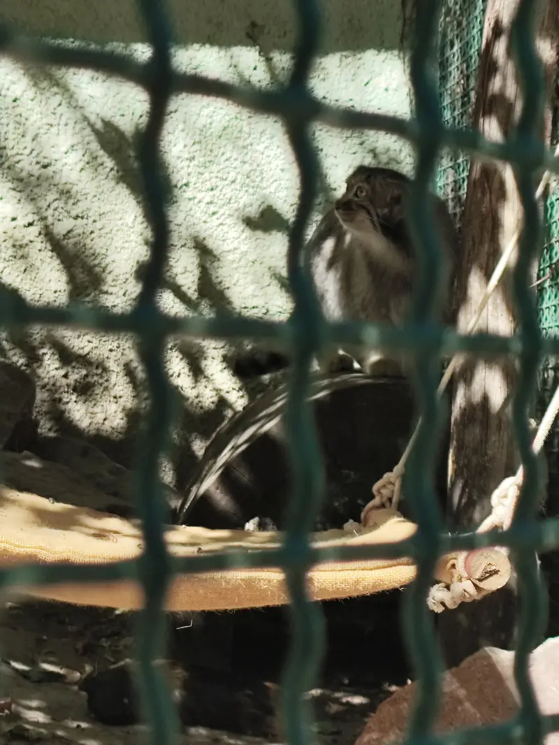 A photograph of Lucy in Budapest Zoo & Botanical Garden
