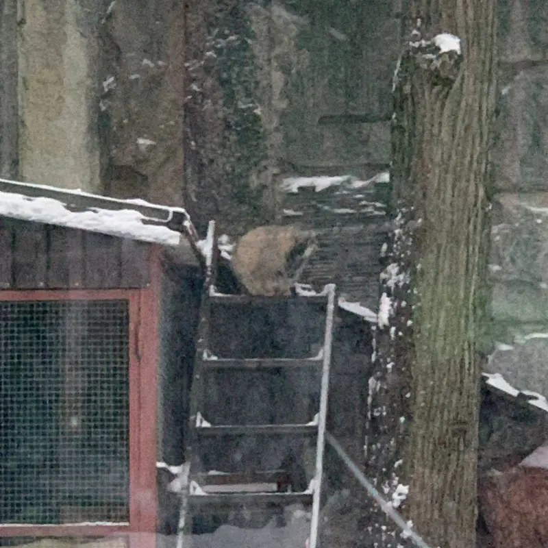 A photograph of Timofey in Moscow zoo