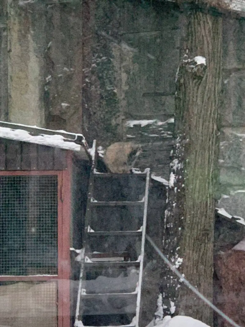 A photograph of Timofey in Moscow zoo