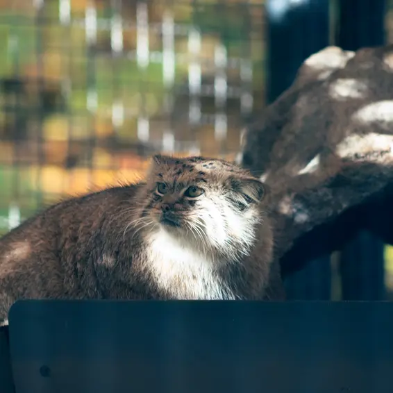 A photograph of Melissa in Lithuanian Zoo