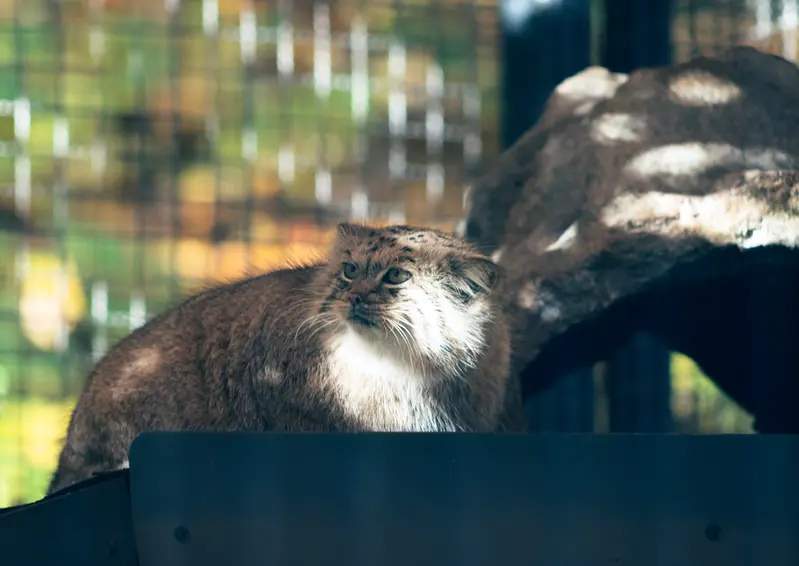 A photograph of Melissa in Lithuanian Zoo