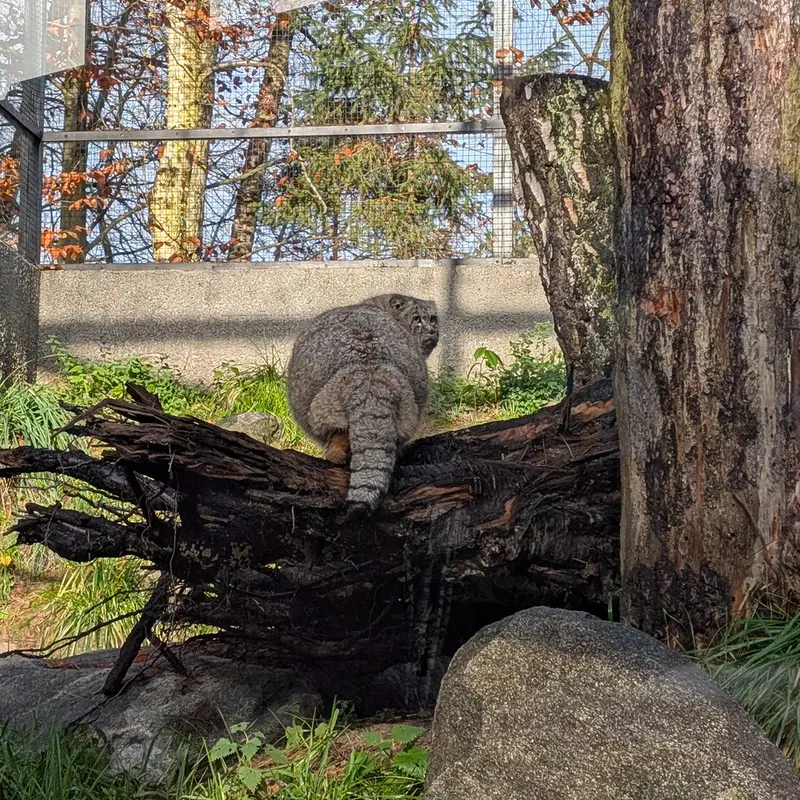 A photograph of Manuel in Gdansk Zoo