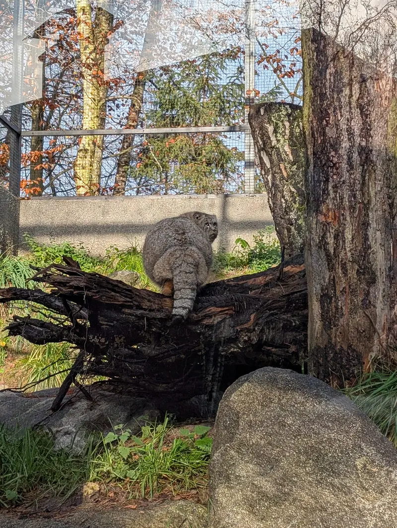 A photograph of Manuel in Gdansk Zoo