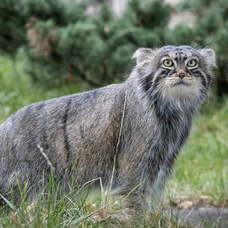 A photograph of Timofey in Moscow zoo