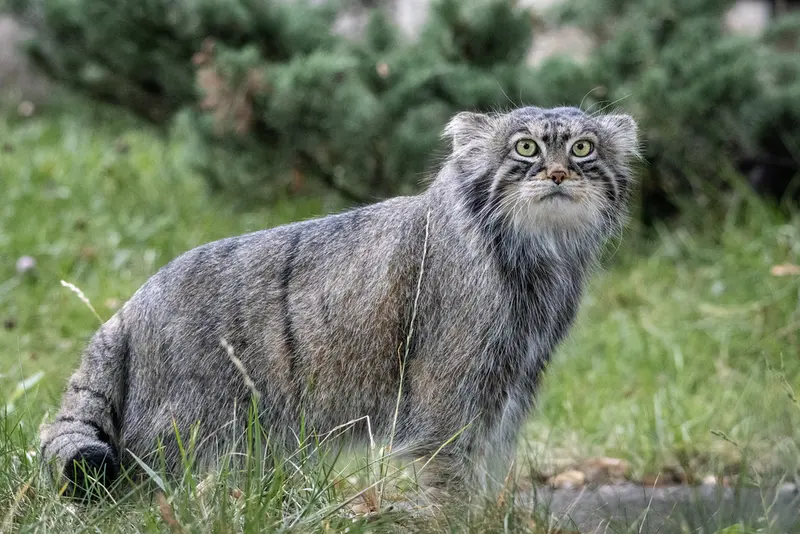 A photograph of Timofey in Moscow zoo